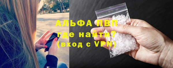 СК Абинск