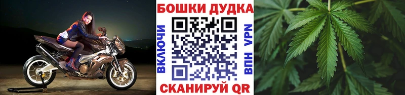 купить закладку  Кострома  mega tor  Бошки марихуана White Widow 